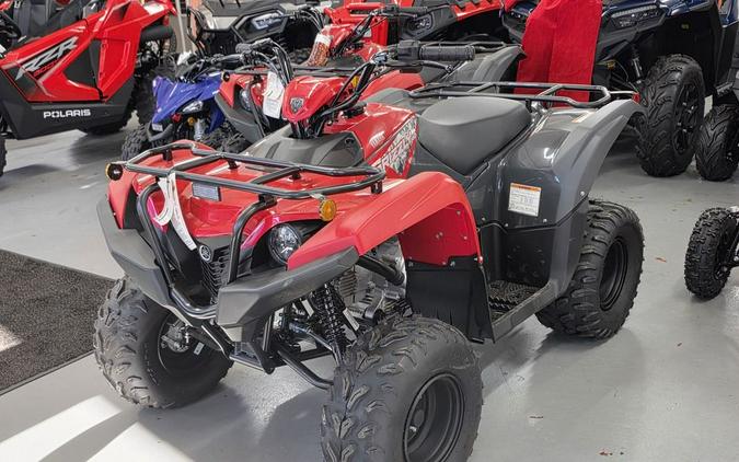 2025 Yamaha Grizzly 110