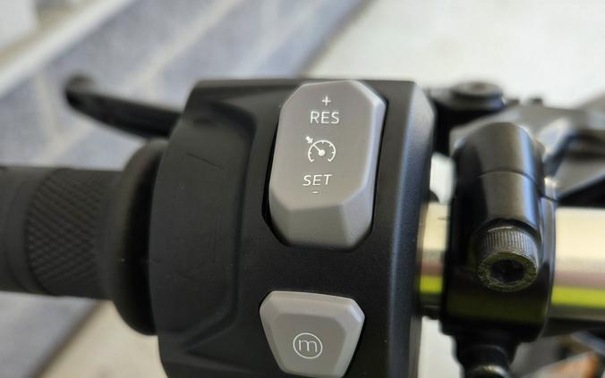 2026 TRIUMPH SPEED TRIPLE RX