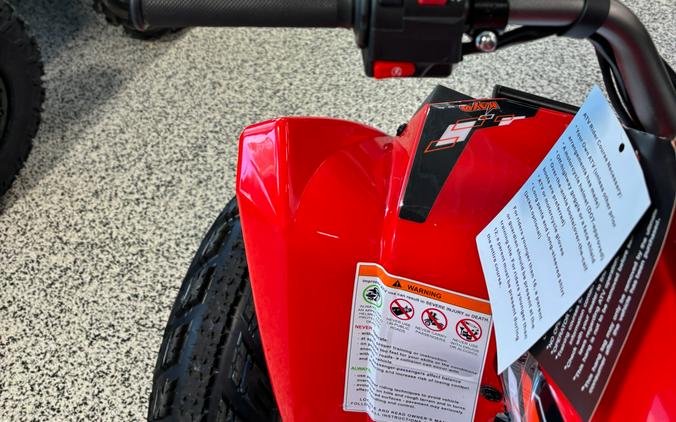2026 Kayo Storm 300 EFI