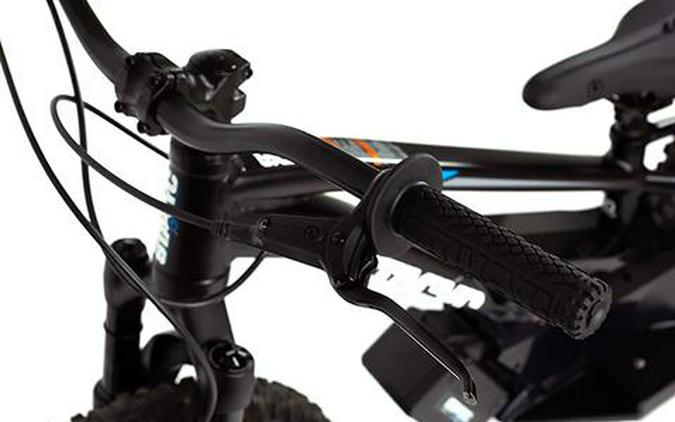 2024 Stacyc 20eDRIVE