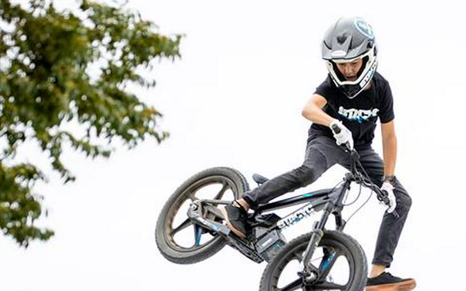 2024 Stacyc 20eDRIVE