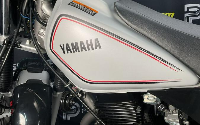 2024 Yamaha TW200