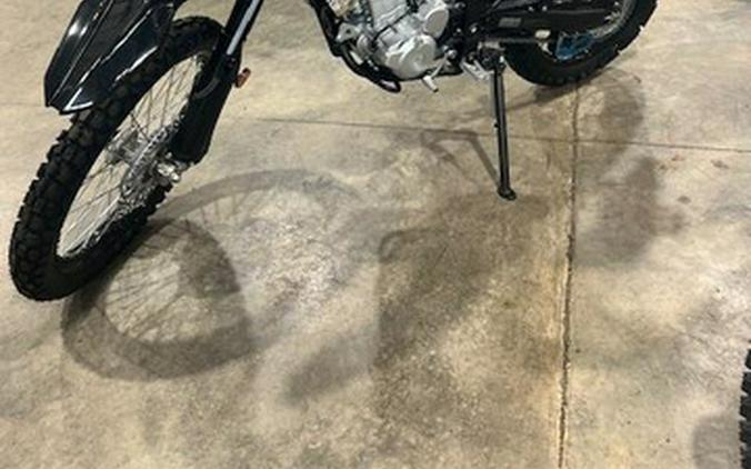 2026 Kawasaki KLX 300