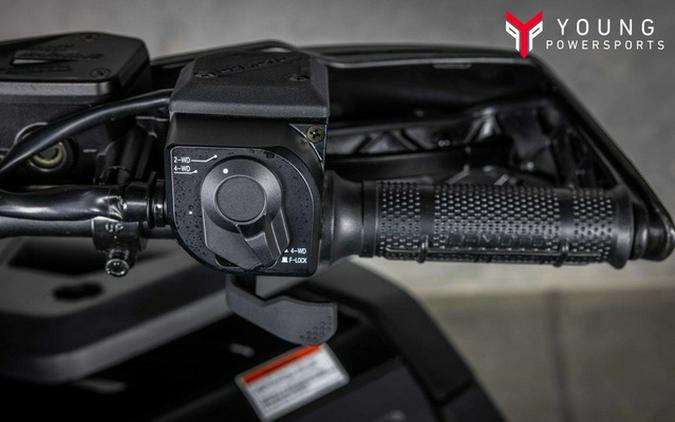 2025 CFMOTO CFORCE 600