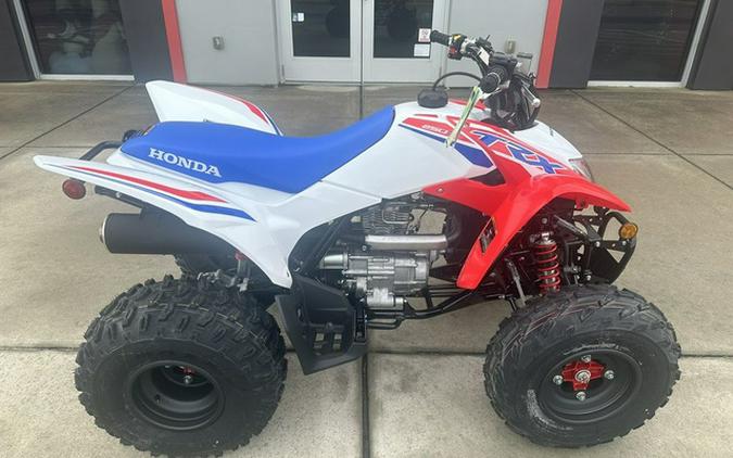 2026 Honda TRX 250X
