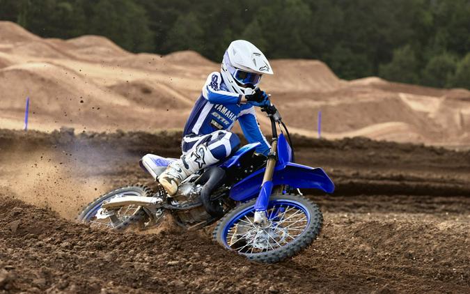 2027 Yamaha YZ85LW