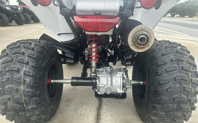 2026 Honda TRX 250X