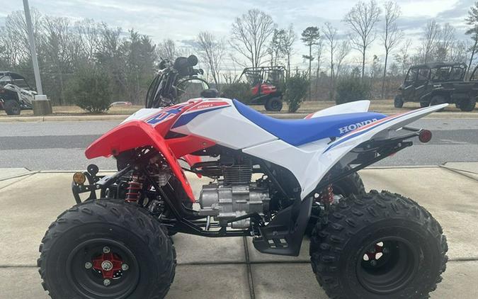 2026 Honda TRX 250X