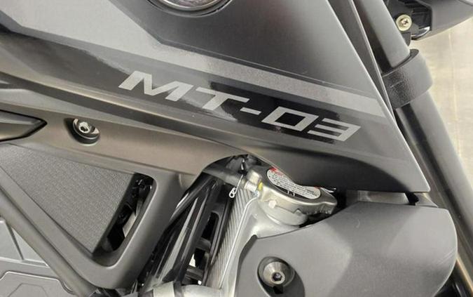 2026 Yamaha MT 03