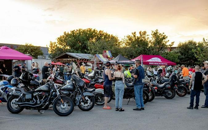 2019 Indian Springfield