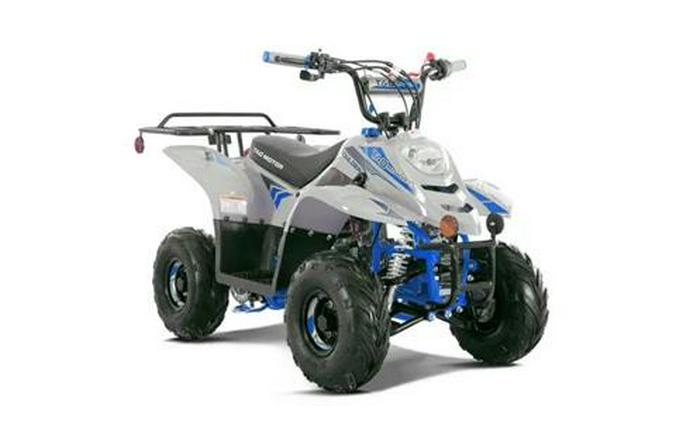 2026 Tao Motor Boulder
