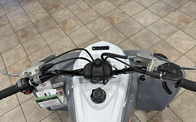 2026 Yamaha RAPTOR 700