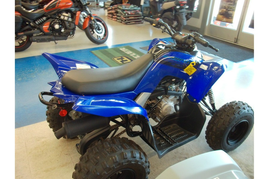 2025 Yamaha Raptor 110