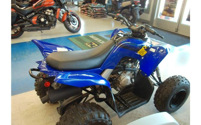 2025 Yamaha Raptor 110