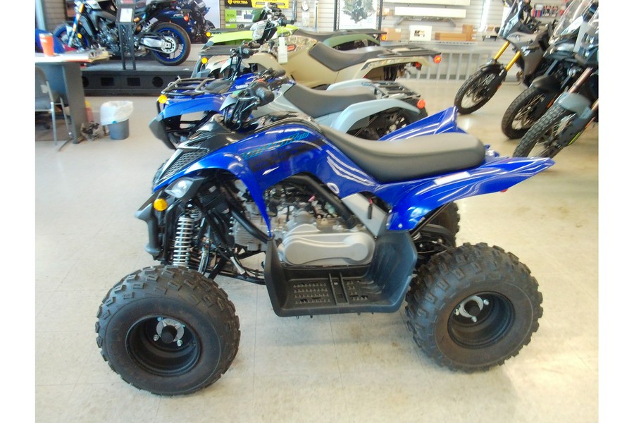 2025 Yamaha Raptor 110