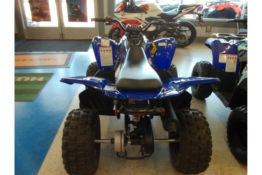2025 Yamaha Raptor 110