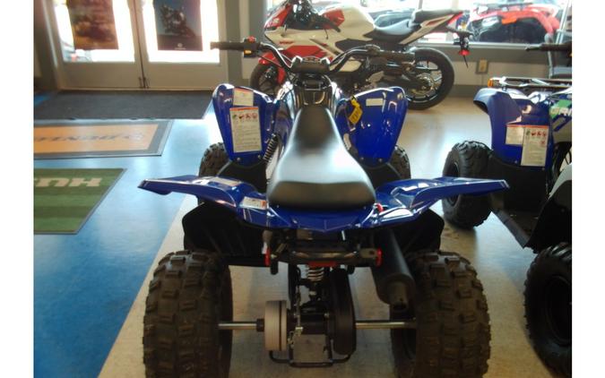 2025 Yamaha Raptor 110