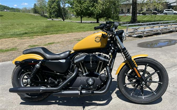 2019 Harley-Davidson Iron 883