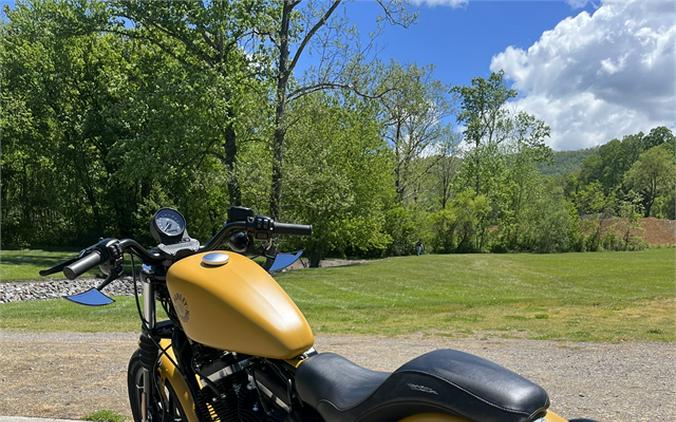 2019 Harley-Davidson Iron 883