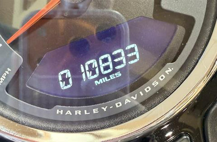 2019 Harley-Davidson Heritage Classic 107