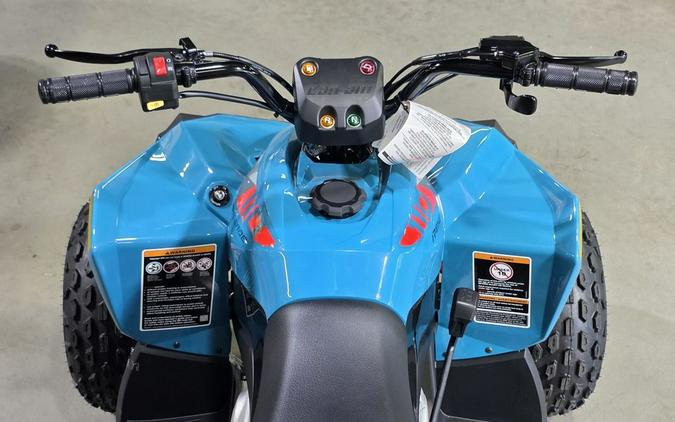 2026 Can-Am Renegade 110 EFI