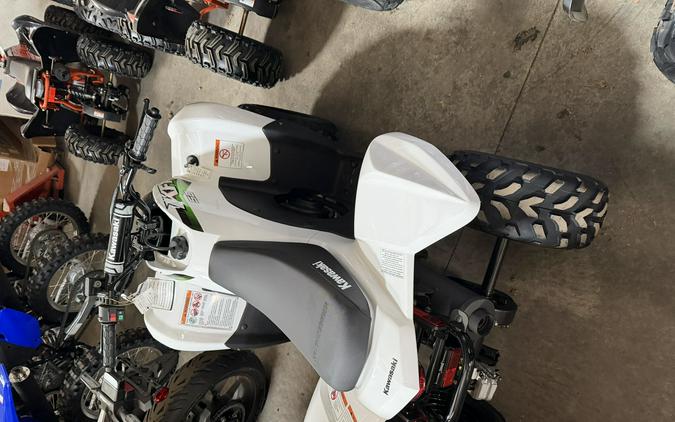 2026 KAWASAKI KFX 50
