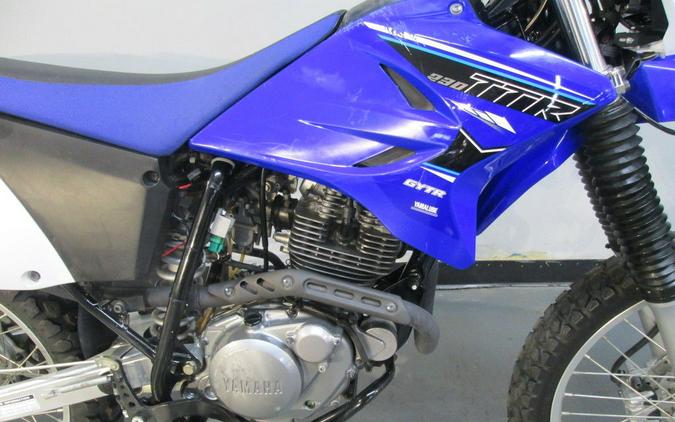 2021 Yamaha TT-R230