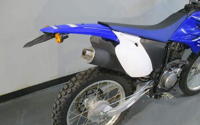2021 Yamaha TT-R230