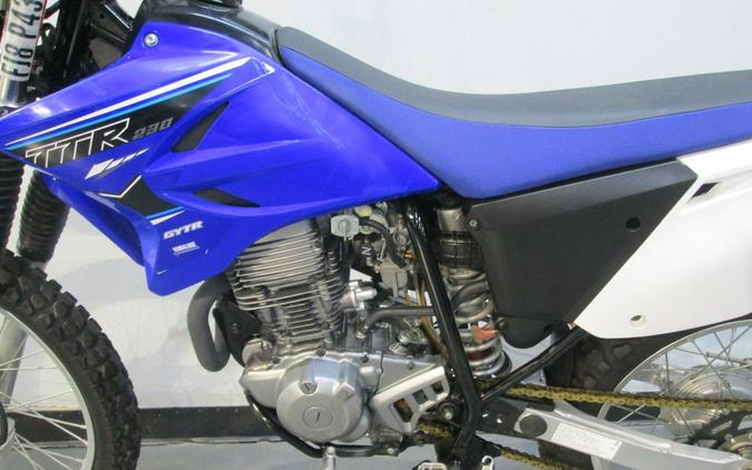 2021 Yamaha TT-R230