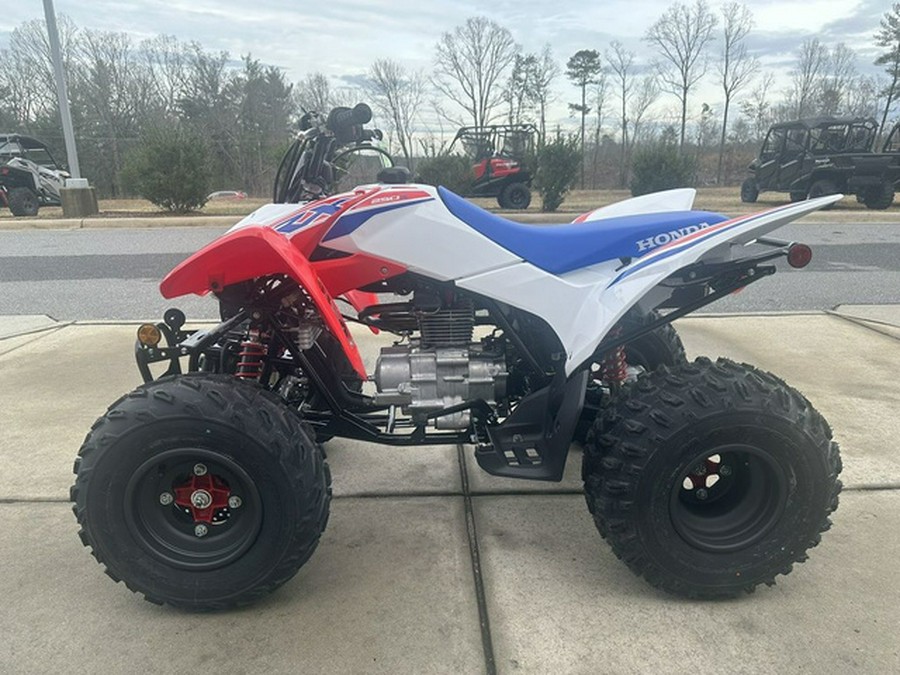 2026 Honda TRX 250X