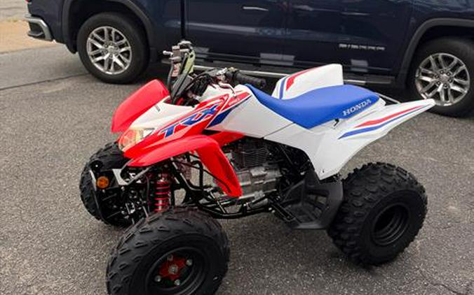 2026 Honda TRX250X