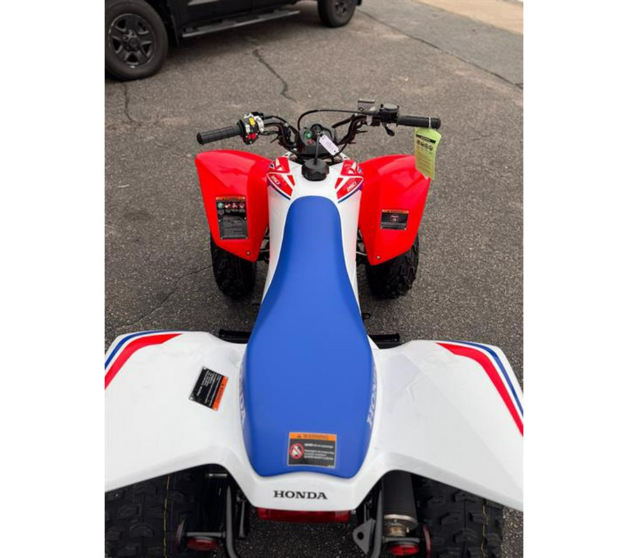 2026 Honda TRX250X