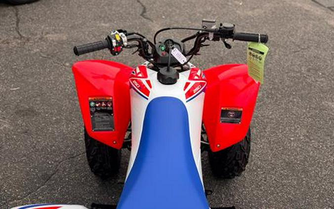 2026 Honda TRX250X