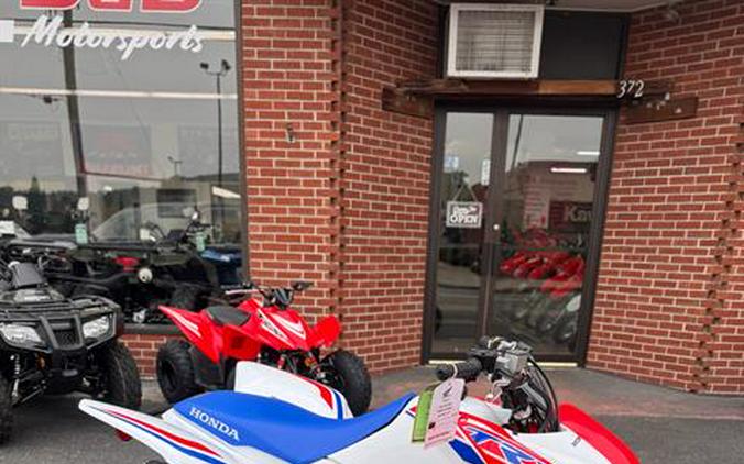 2026 Honda TRX250X
