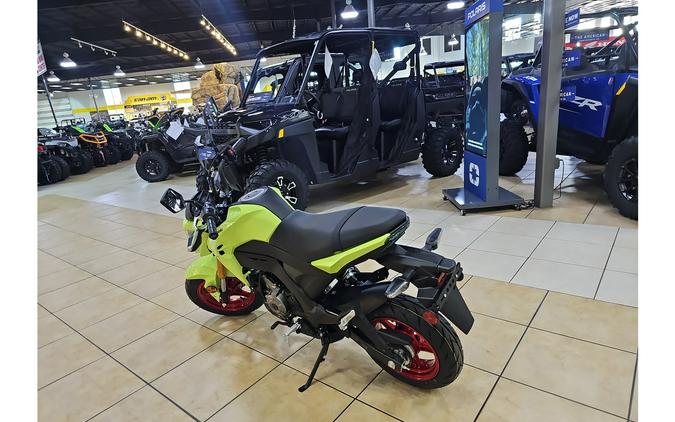 2026 Kawasaki Z125 PRO