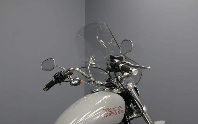 2024 Harley-Davidson® Softail® Standard Billiard Gray
