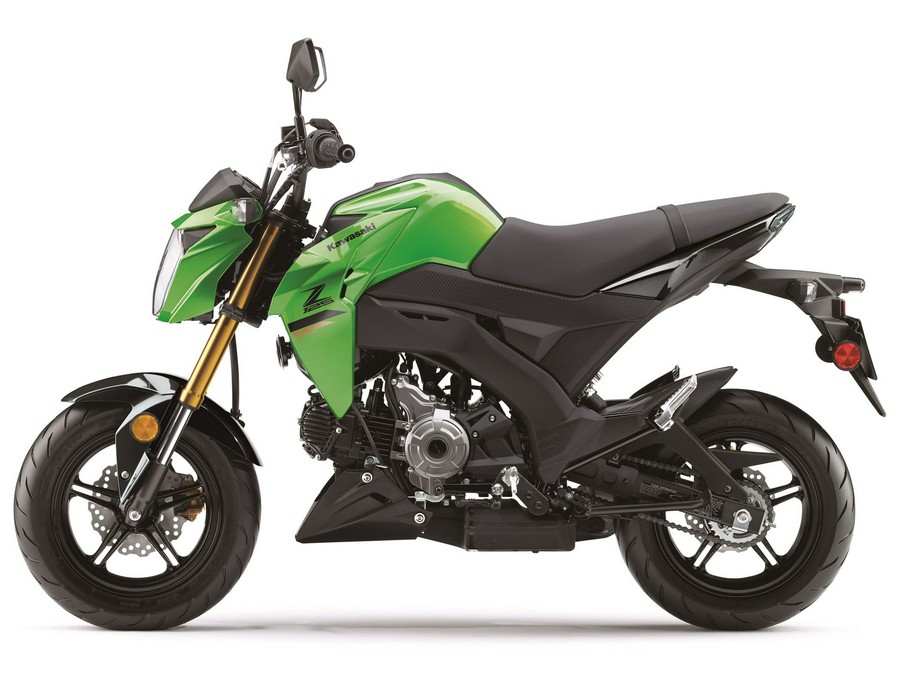 2024 Kawasaki Z125 Pro