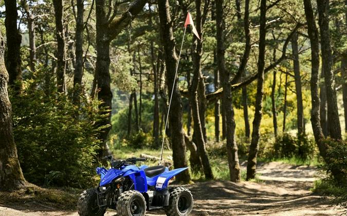 2026 Yamaha YFZ 50
