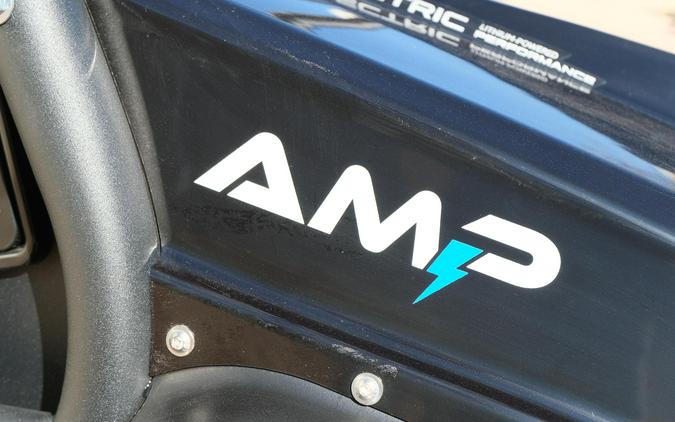 2025 LANDMASTER AMP STANDARD CAB CLASSIC EDITION