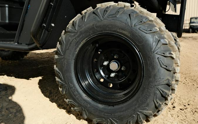 2025 LANDMASTER AMP STANDARD CAB CLASSIC EDITION