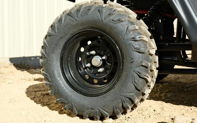 2025 LANDMASTER AMP STANDARD CAB CLASSIC EDITION