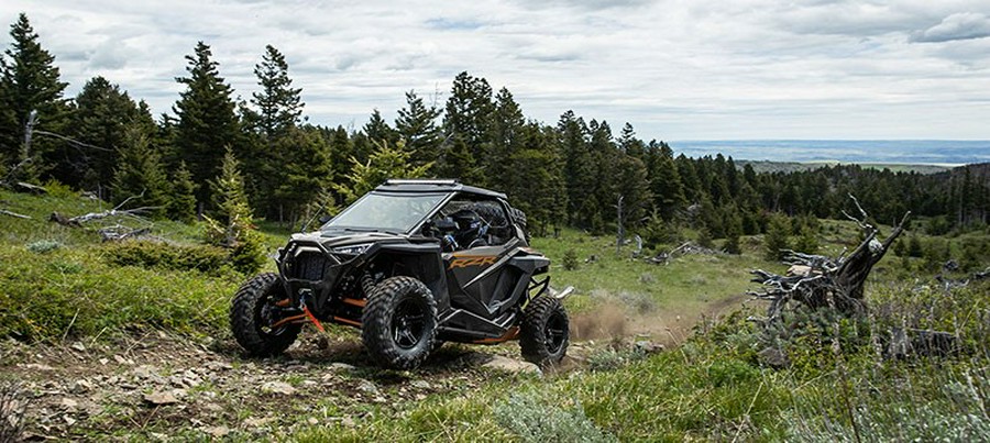 2021 Polaris RZR PRO XP Ultimate