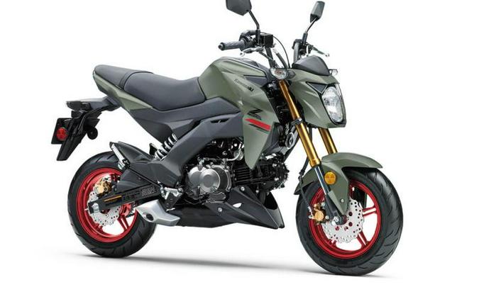 2023 Kawasaki Z125 PRO