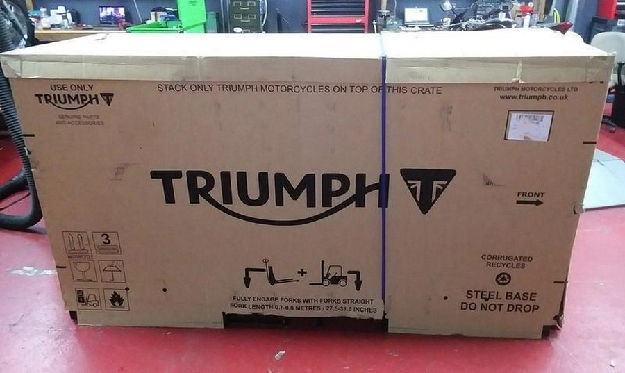 2025 Triumph Daytona 660