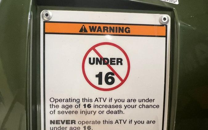 2025 Yamaha Kodiak 700 EPS