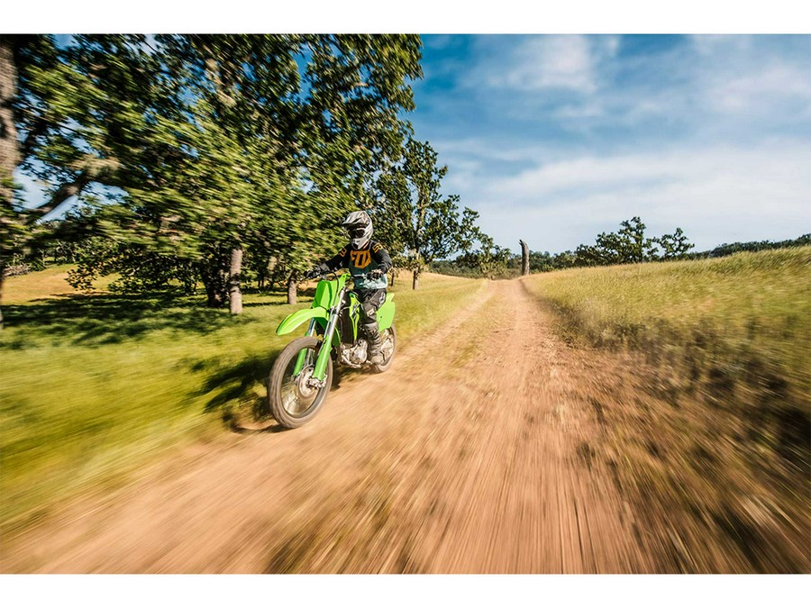 2024 Kawasaki KLX 300R