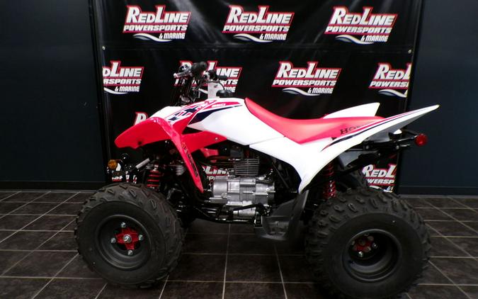 2024 Honda® TRX250X