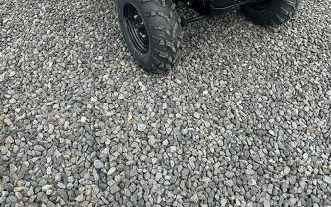 2025 Can-Am Outlander DPS 500