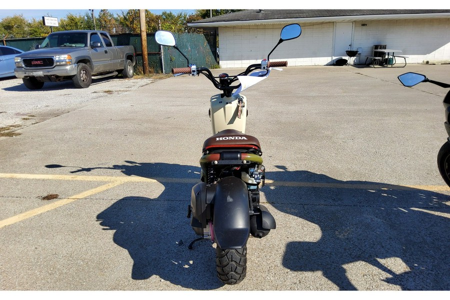 2024 Honda RUCKUS