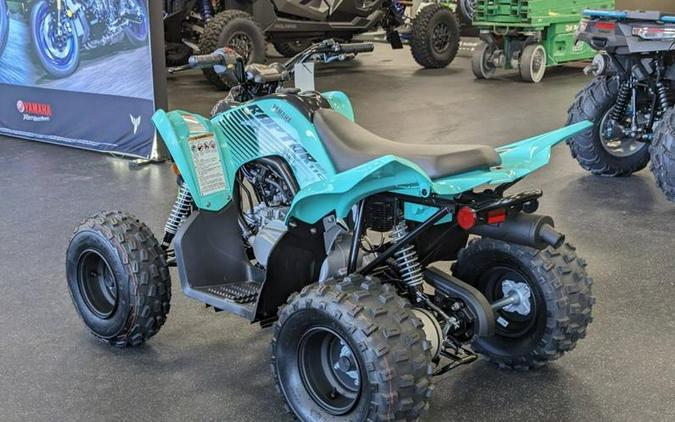 2024 Yamaha Raptor 110